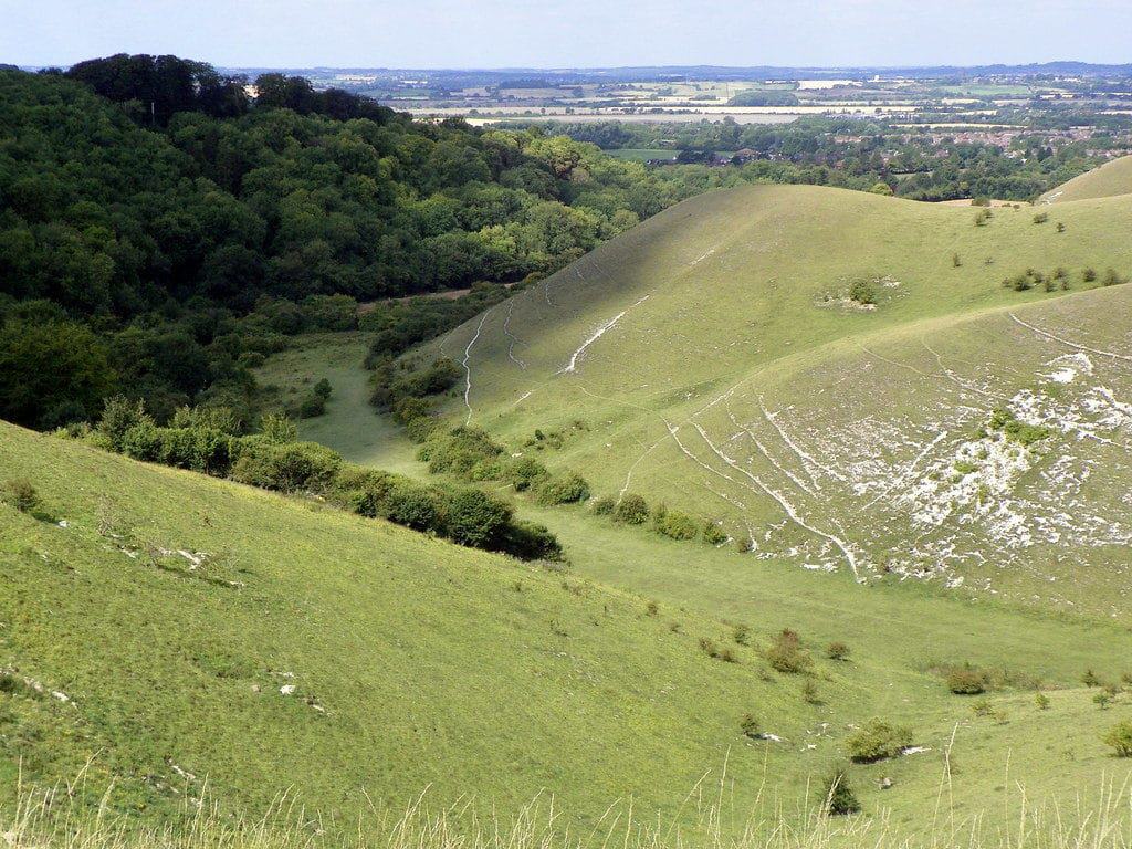 Barton Hills National Nature Reserve