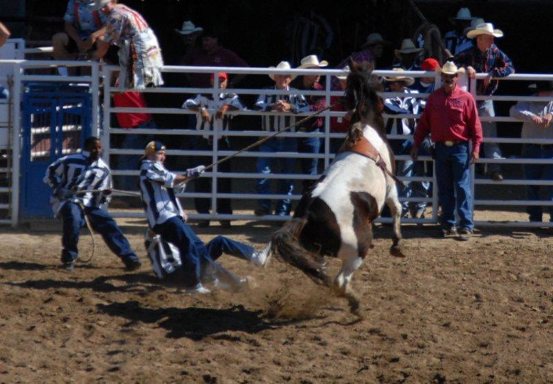 Angola Prison Rodeo, St. Francisville