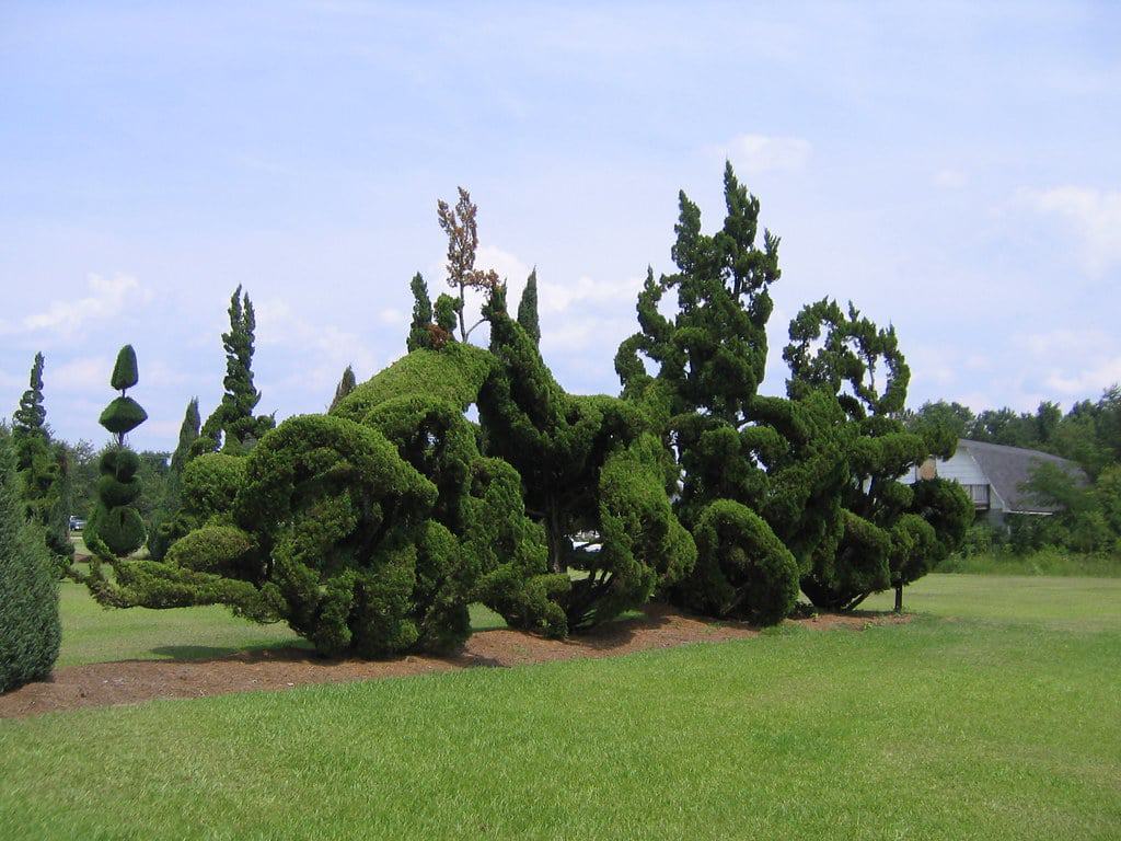 Pearl Fryar's Topiary Garden, Bishopville