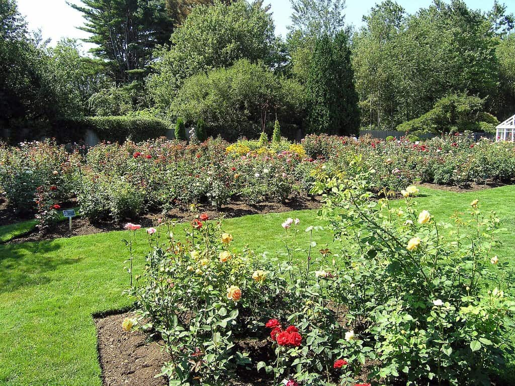 Fuller Gardens, North Hampton