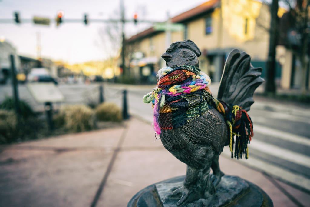Roscoe the Rooster, Takoma Park