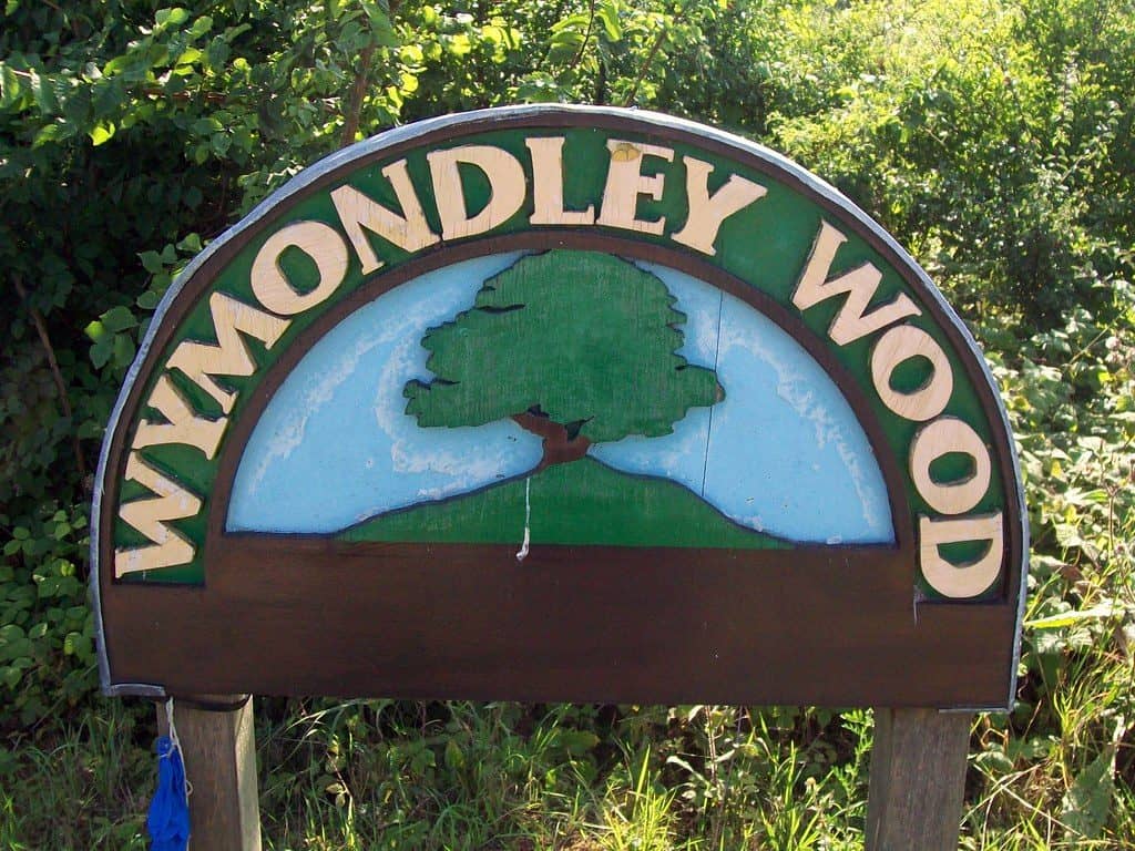  Wymondley Wood