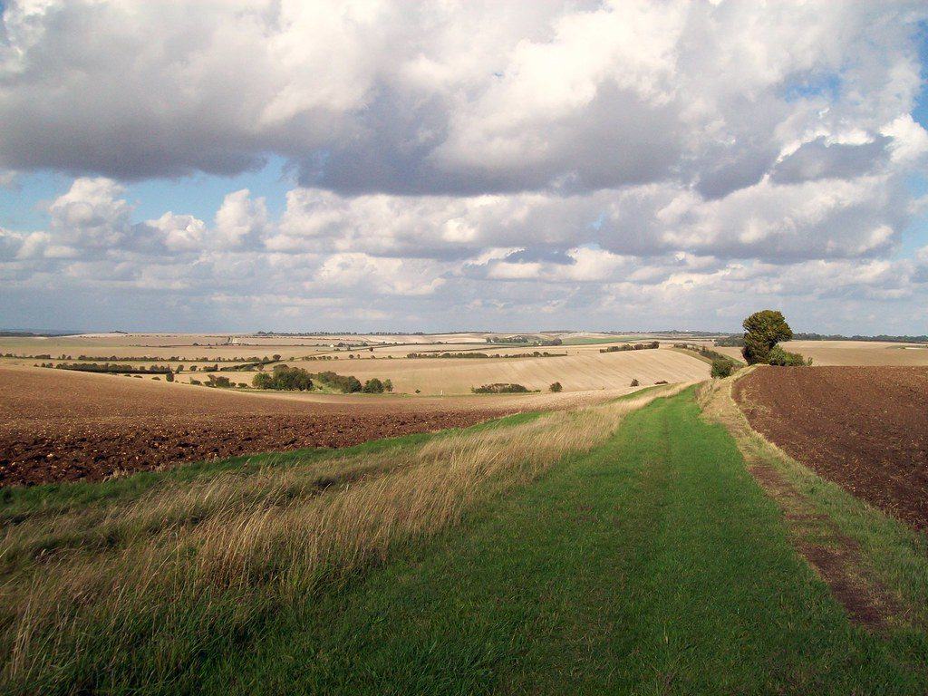 Icknield Way Path