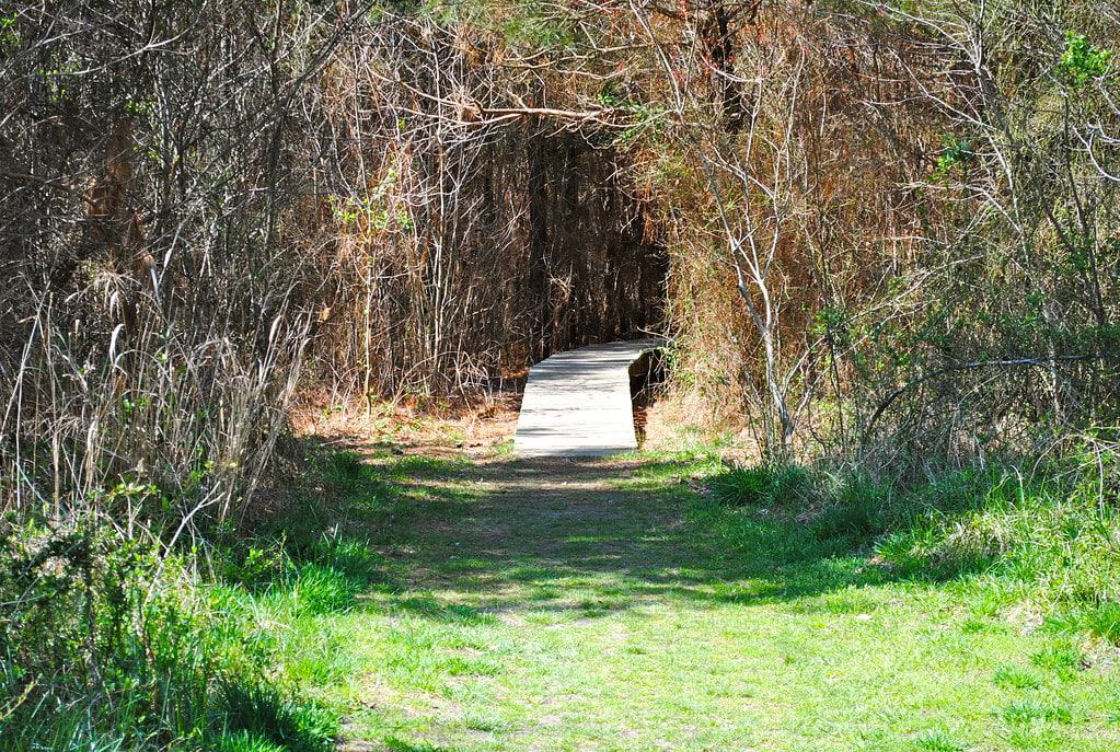 James Farm Ecological Preserve, Ocean View
