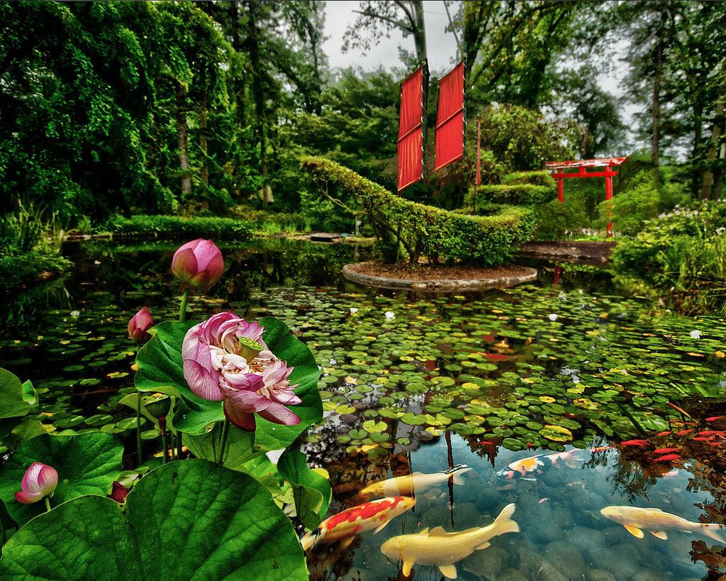 Ladew Topiary Gardens, Monkton