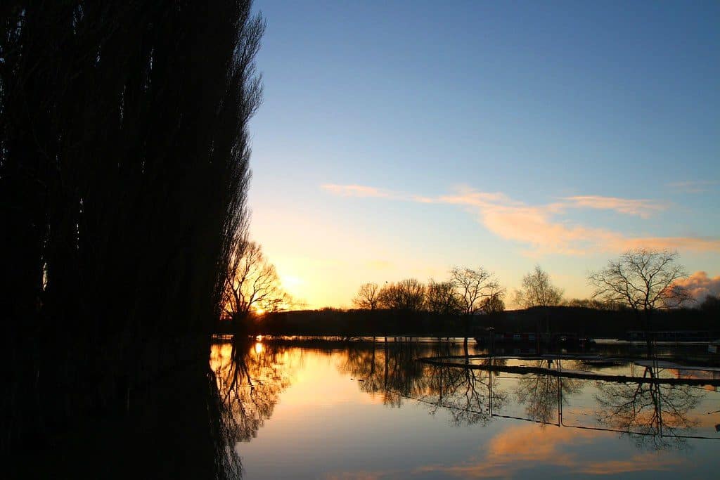 Abbey Meadow