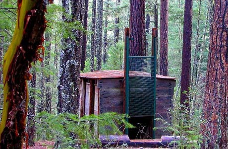 The Bigfoot Trap, Jacksonville