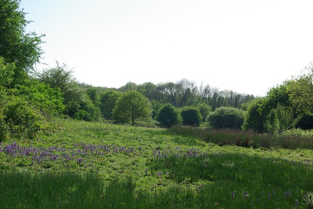 Marline Valley Nature Reserve