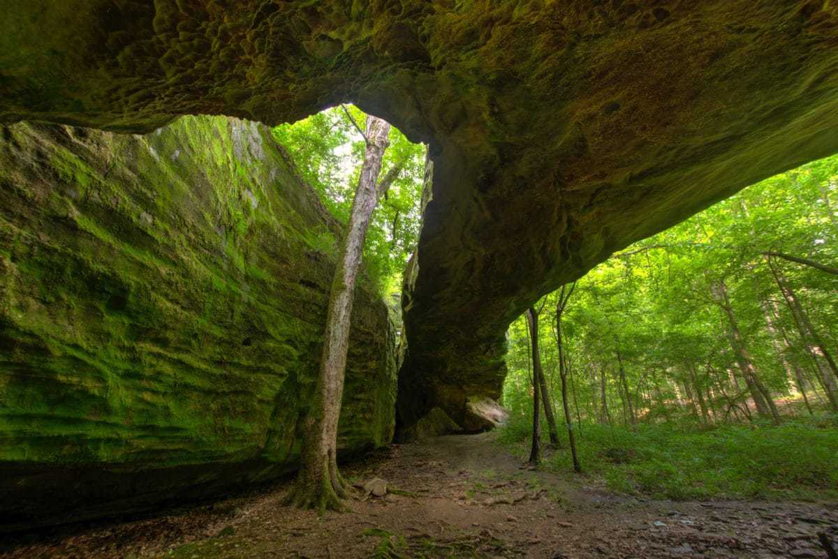 Mantle Rock Nature Preserve
