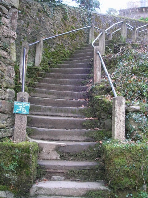 Radical Steps