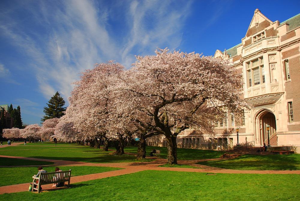 University of Washington Campus, Seattle