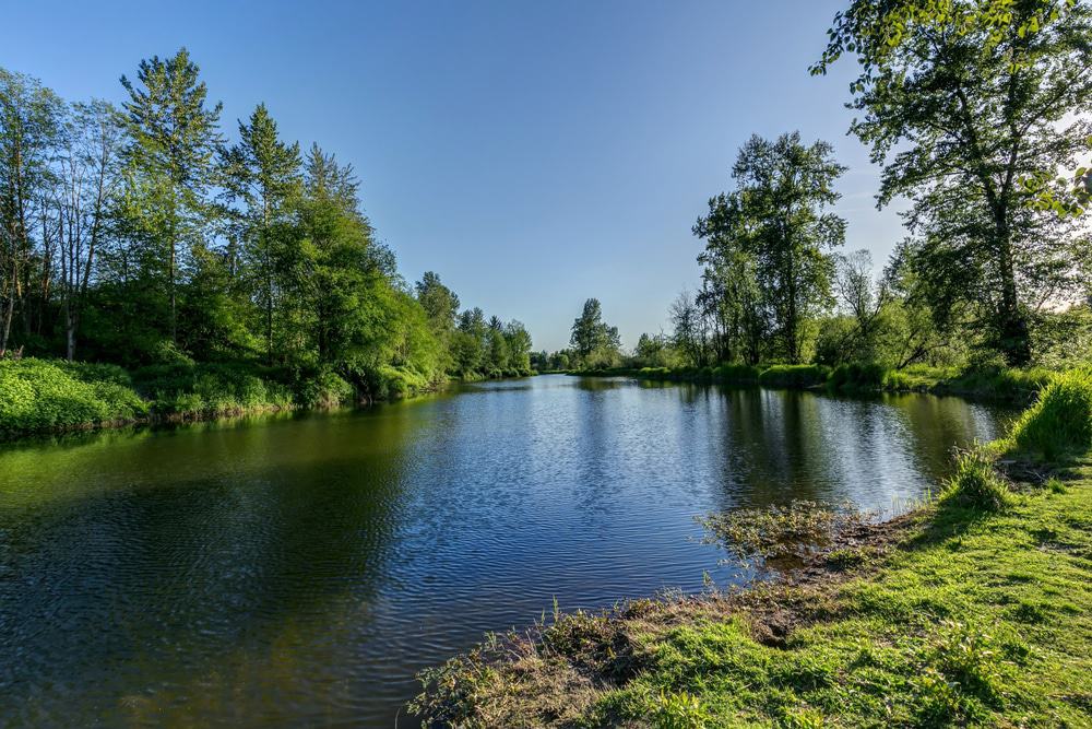 Langley Park