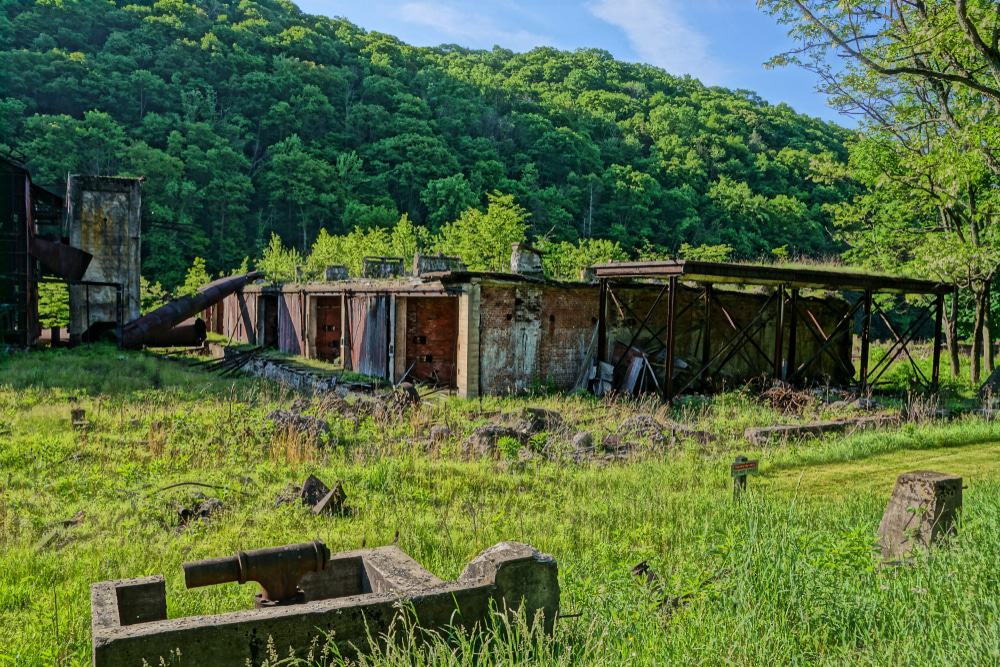 Cass Scenic Railroad, Cass