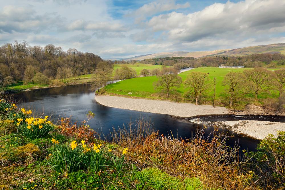 Ruskin's View