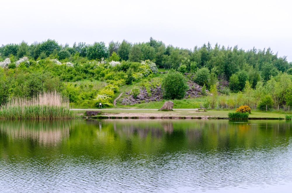 Watergate Forest Park