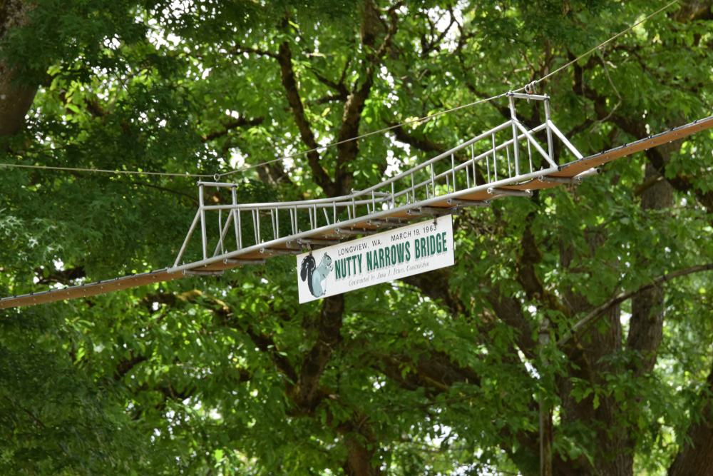 Nutty Narrows Bridge Longview