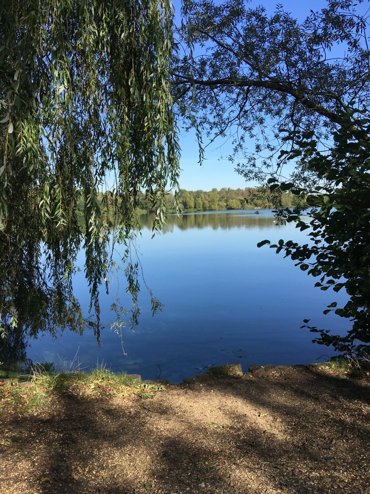 Dinton Pastures Country Park