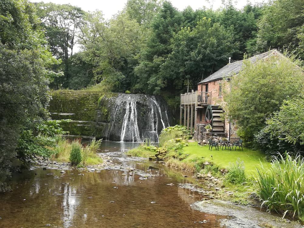 Rutter Force
