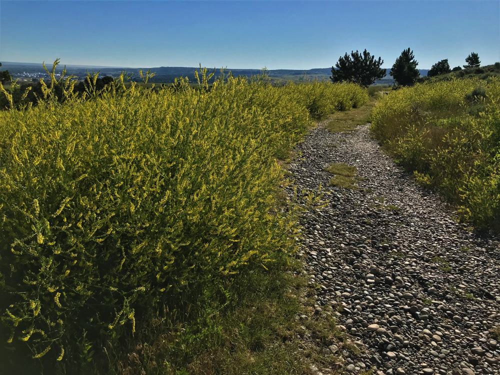 Four Dances Recreation Area, Billings