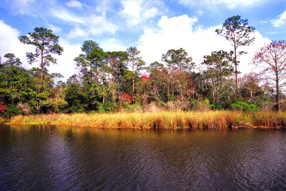 Weeks Bay Reserve, Alabama