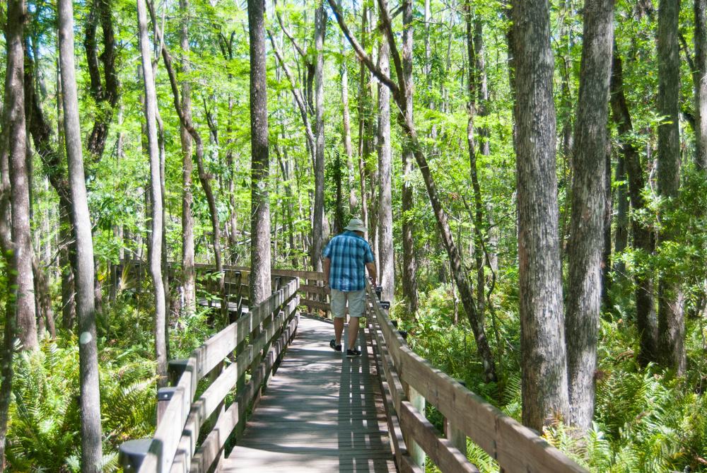 Six Mile Cypress Slough Preserve