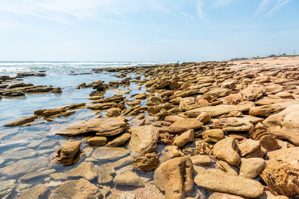 River to Sea Preserve, Florida