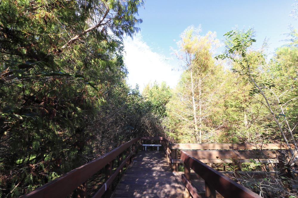 Daggerwing Nature Center