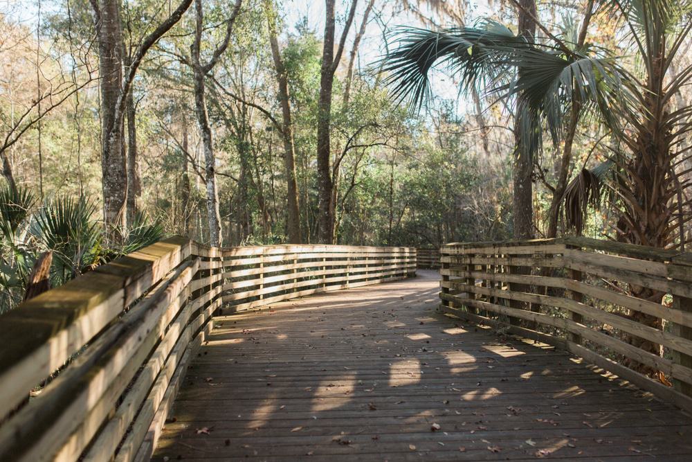 Loblolly Woods Nature Park