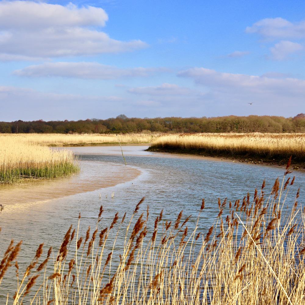 River Alde