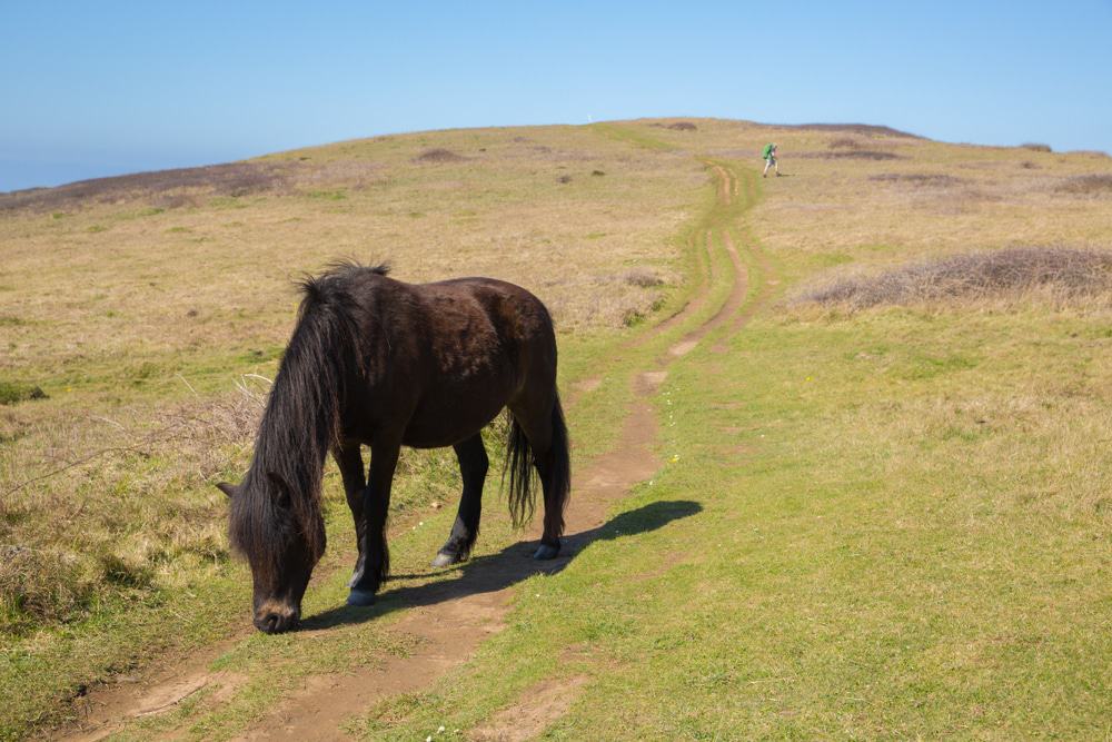 South West Coast Path