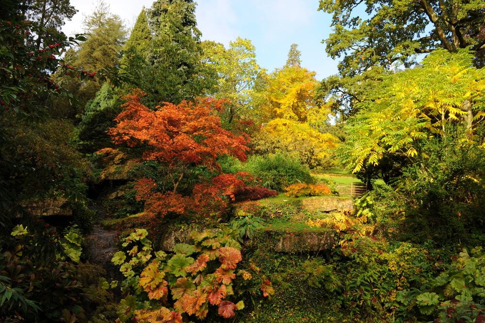 Batsford Arboretum