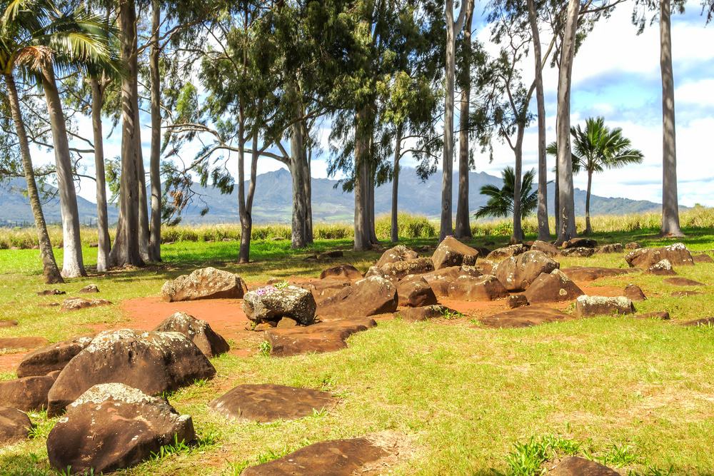 Kukaniloko Birthing Stones, Oahu