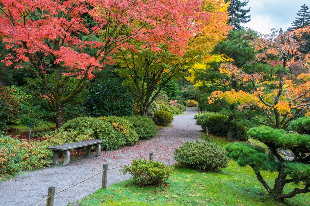 Washington Park Arboretum, Seattle
