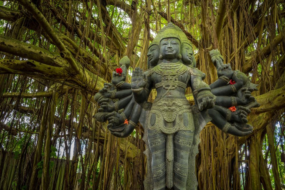 The Himalayan Academy, Kauai