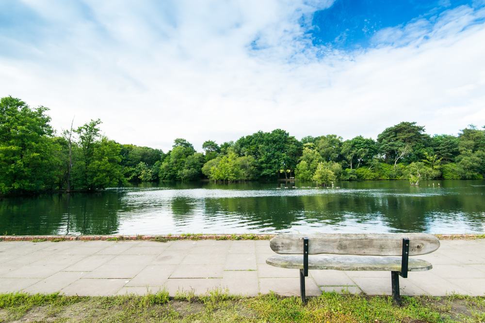 California Country Park