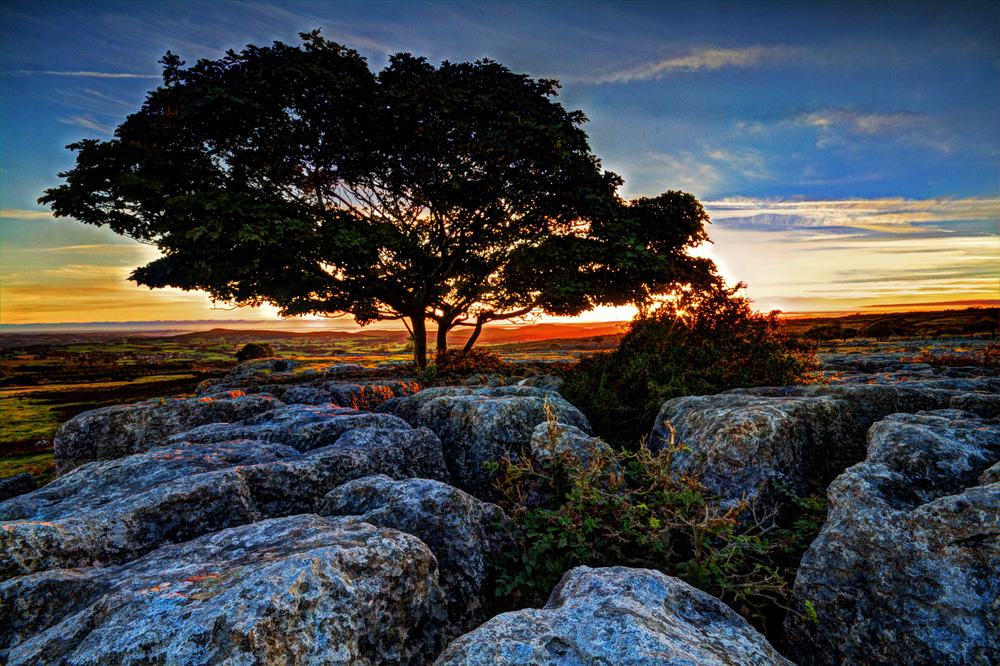 Hutton Roof National Nature Reserve