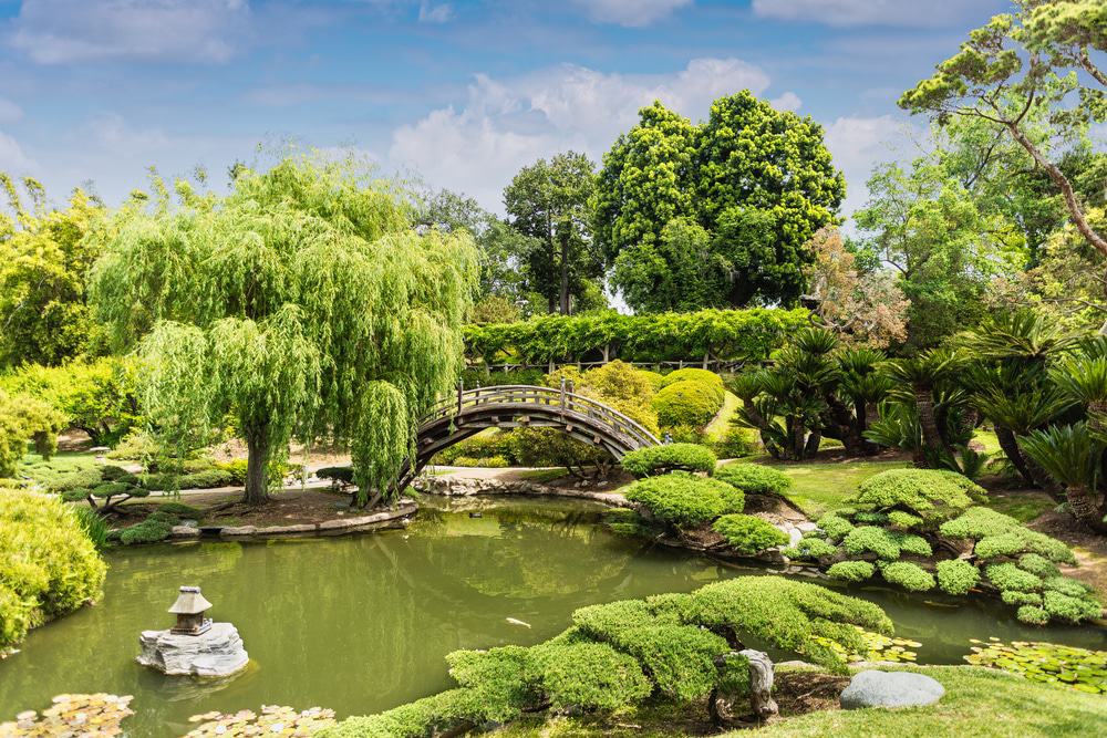 Huntington Library, Art Collections and Botanical Gardens