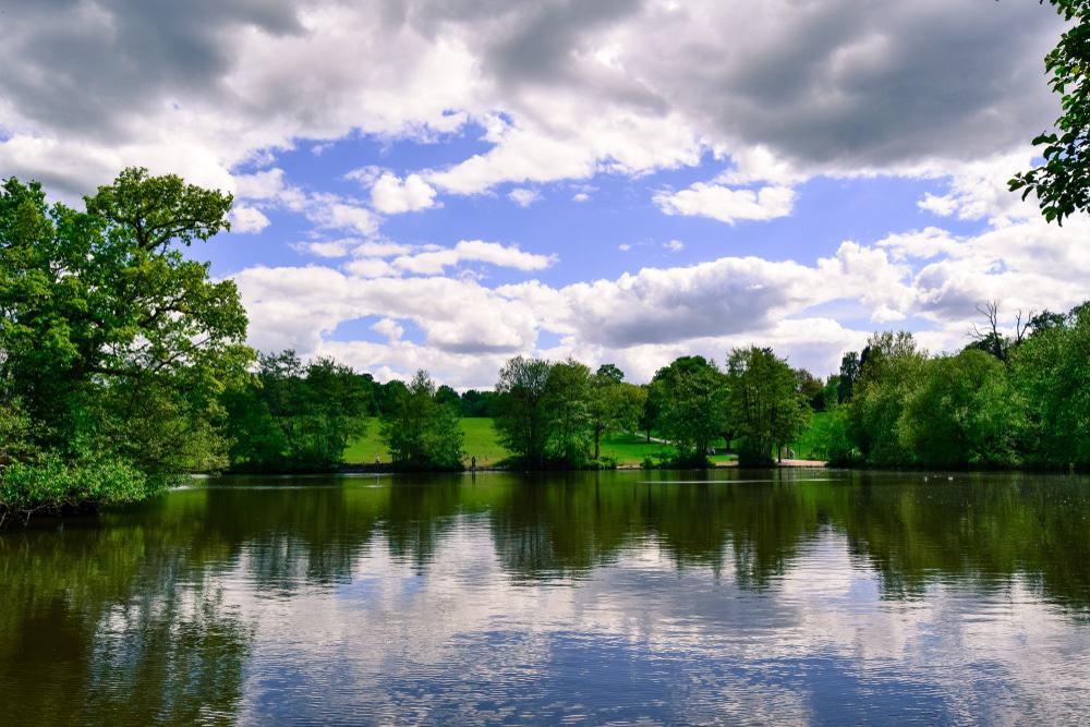 Weald Country Park