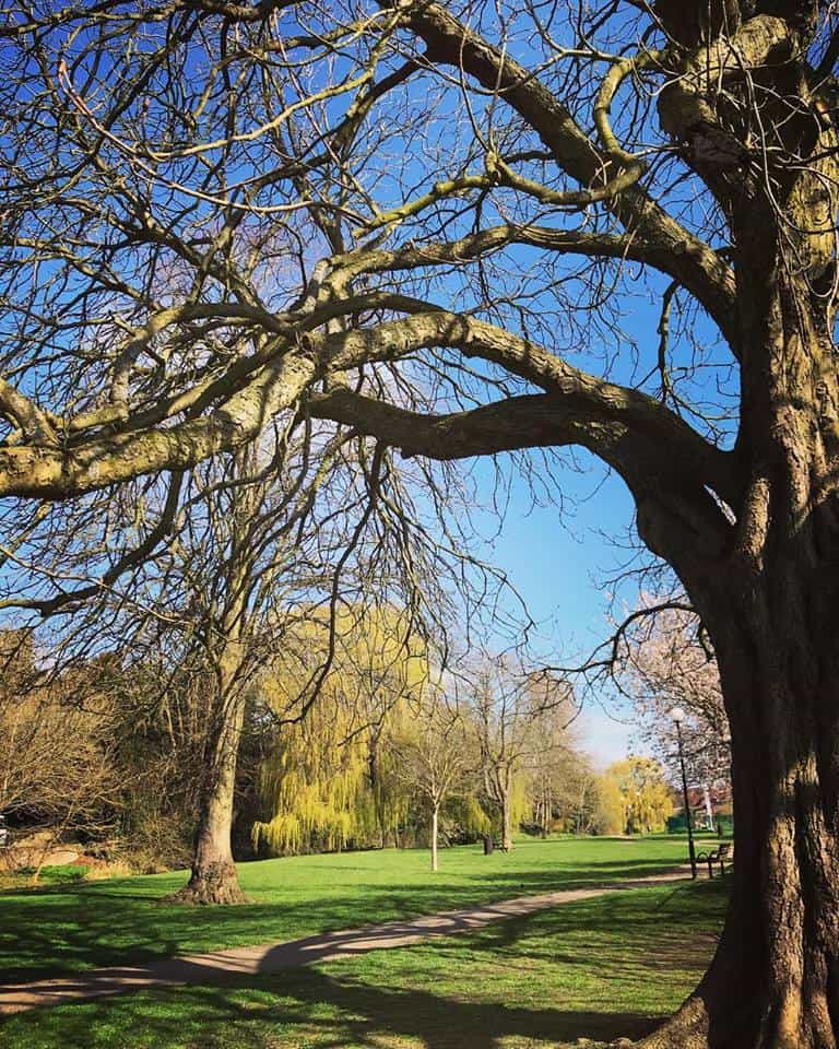 Chandos Park Buckingham