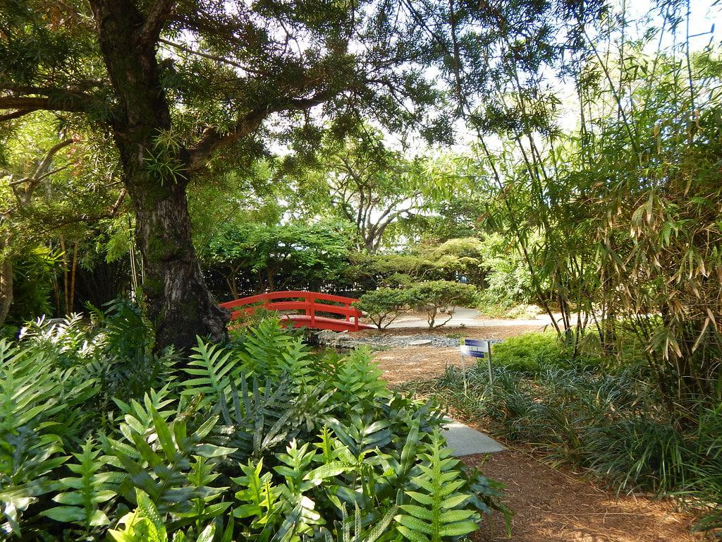 Miami Beach Botanical Gardens
