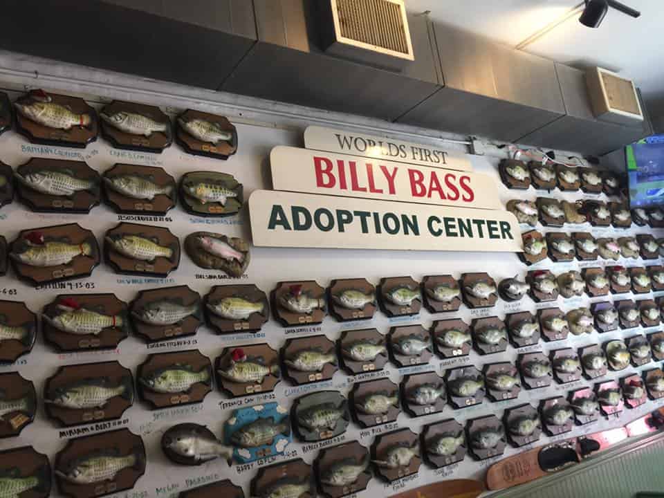 Billy Bass Adoption Center, Little Rock