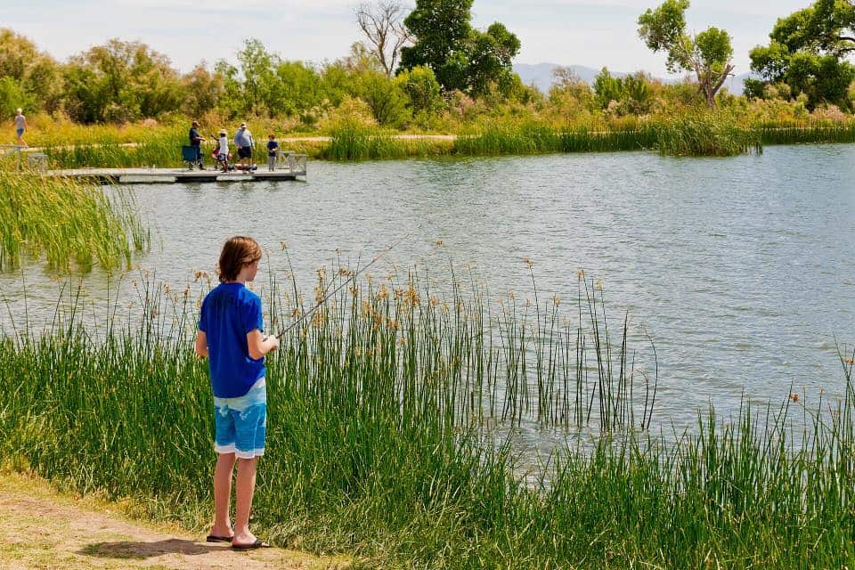Dankworth Pond State Park