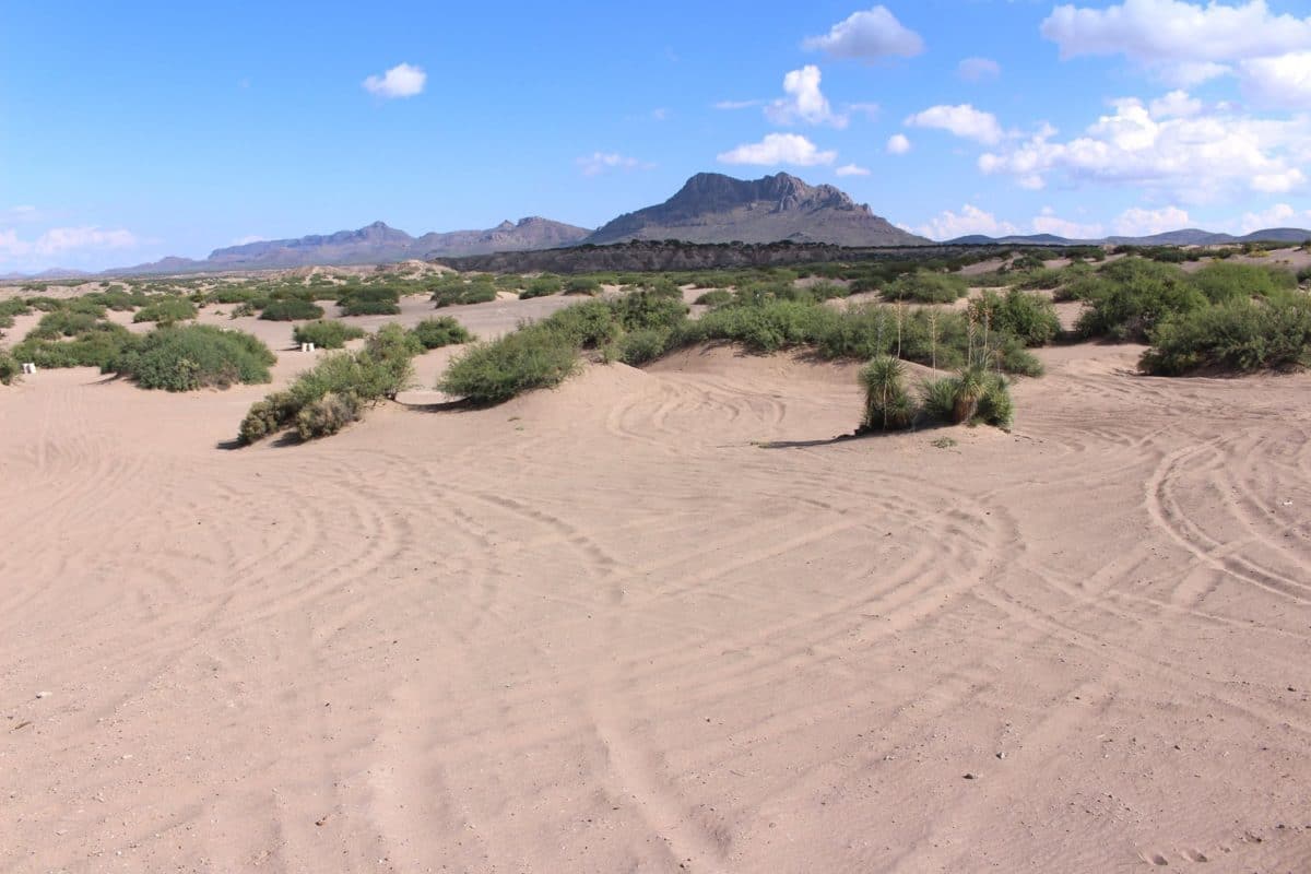 Hot Well Dunes Recreation Area