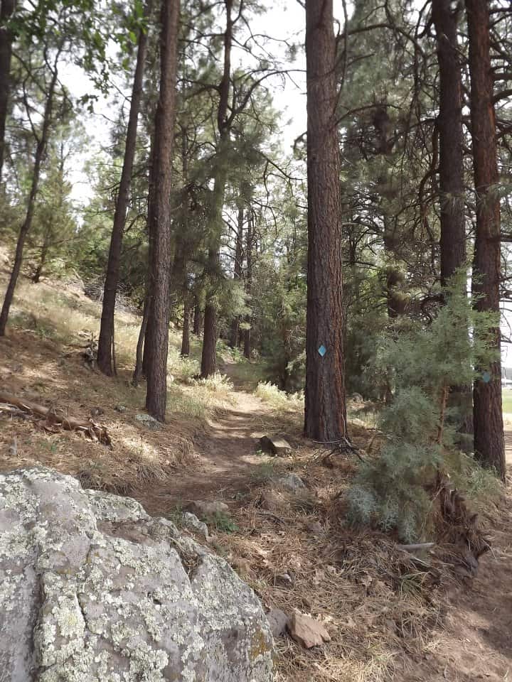 Show Low Bluff Trail