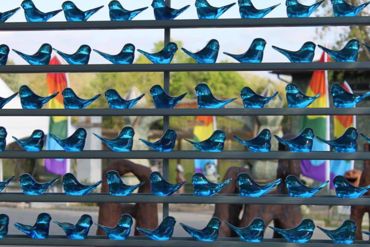 Terra Studios, Fayetteville