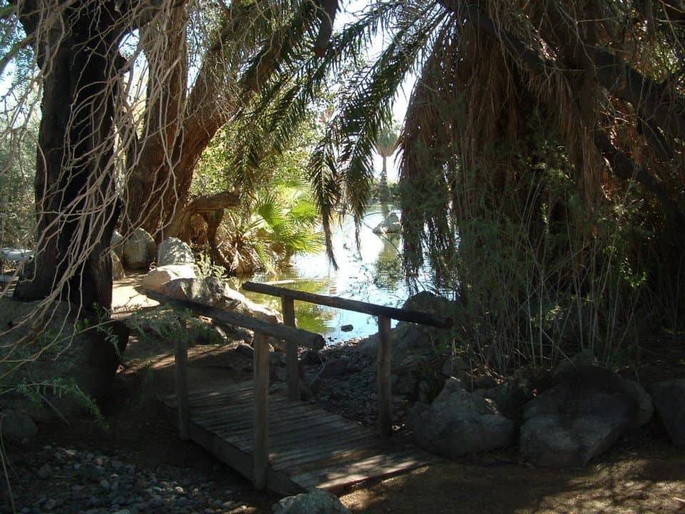 Yuma Conservation Garden