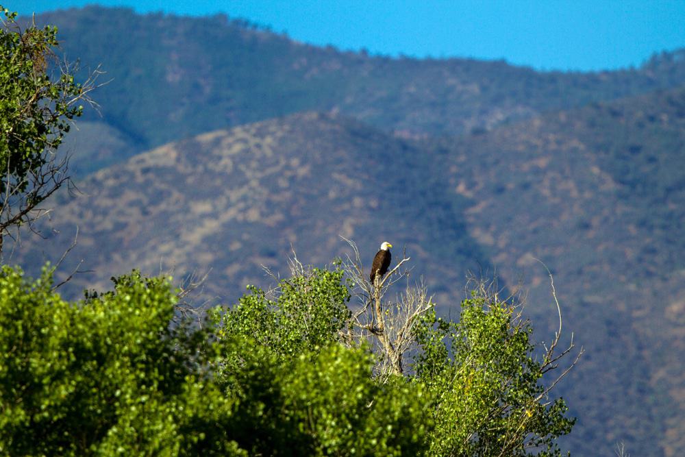 Dead Horse Ranch State Park
