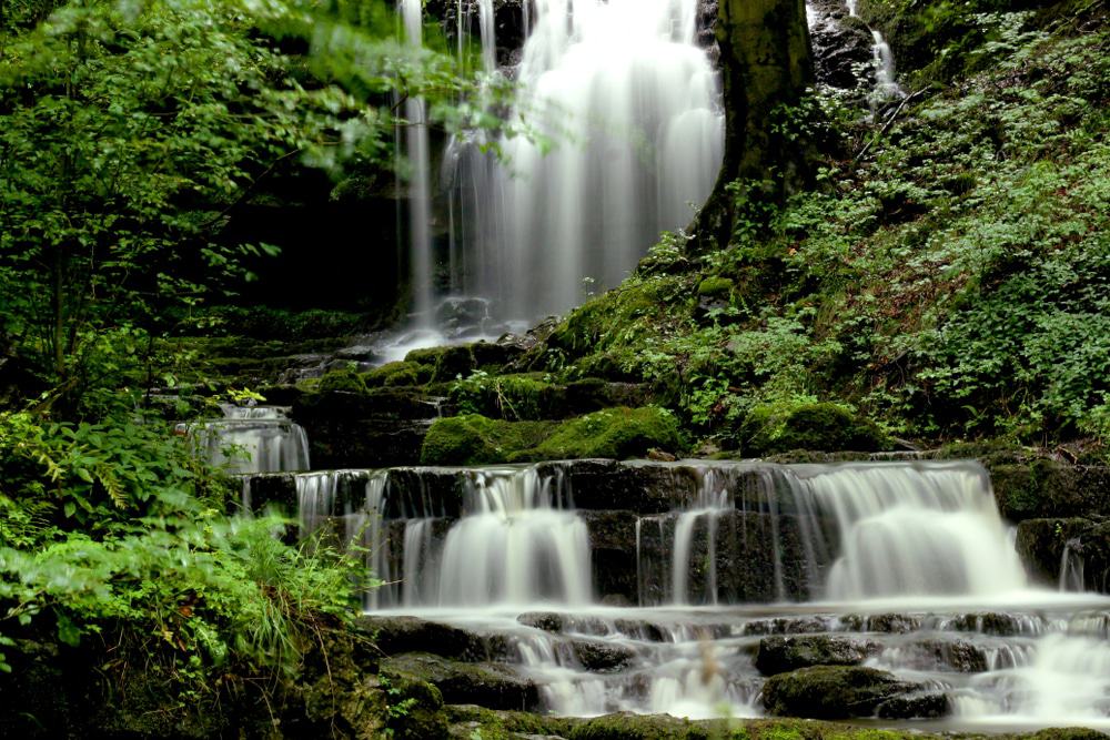 Scaleber Force