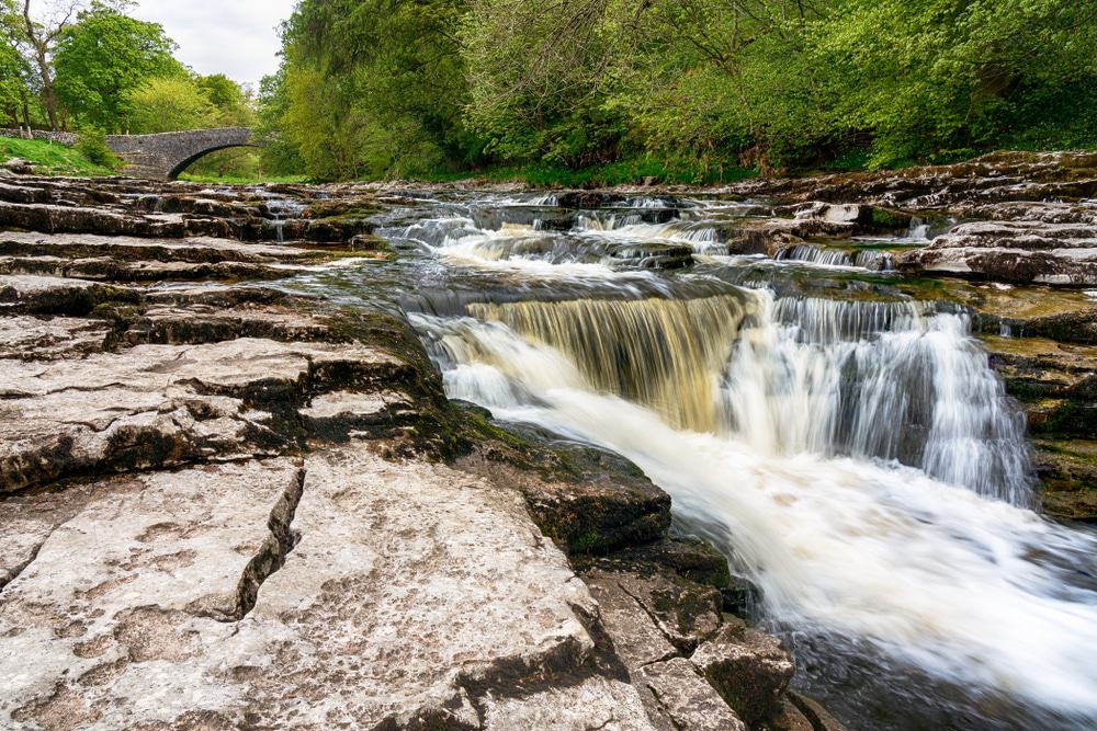 Stainforth Force