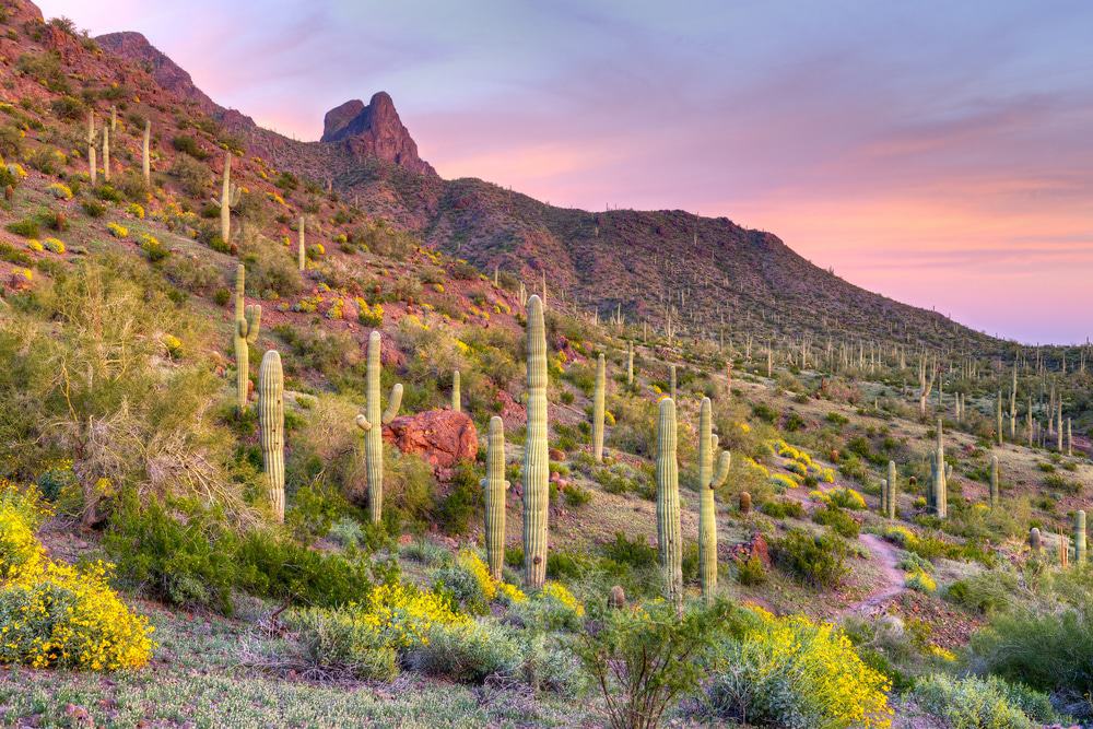 Picacho Peak State Park